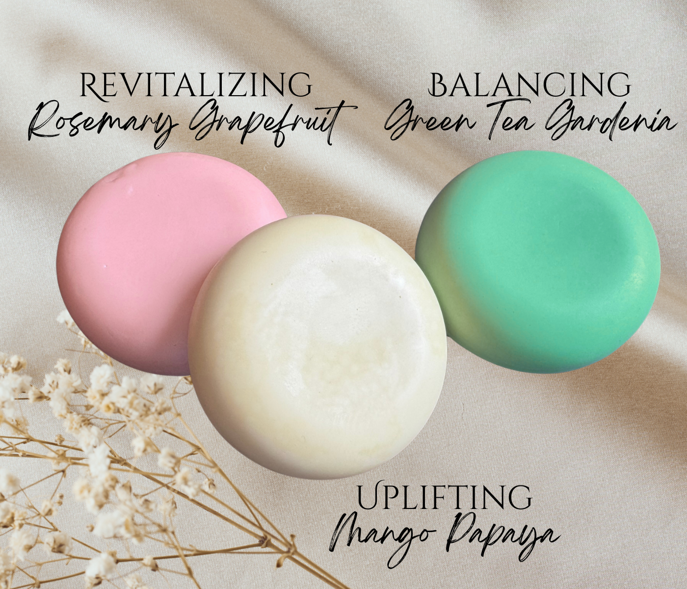 Botiva ✨ Solid Shampoo Bar & Conditioner