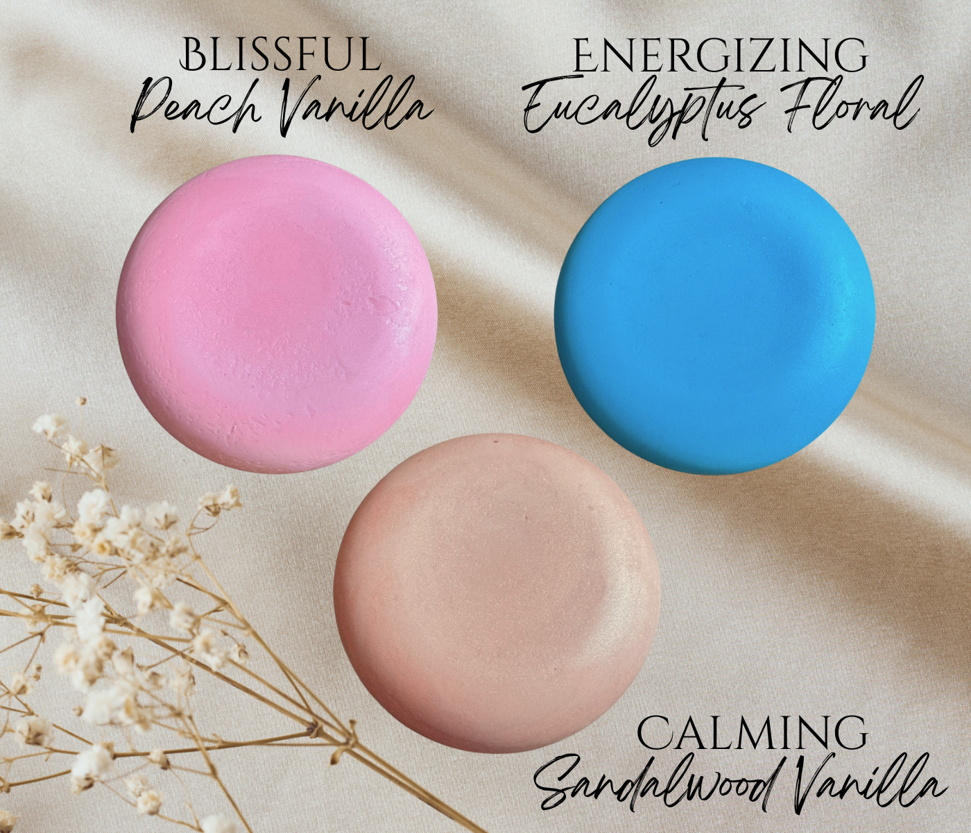 Botiva ✨ Solid Shampoo Bar & Conditioner