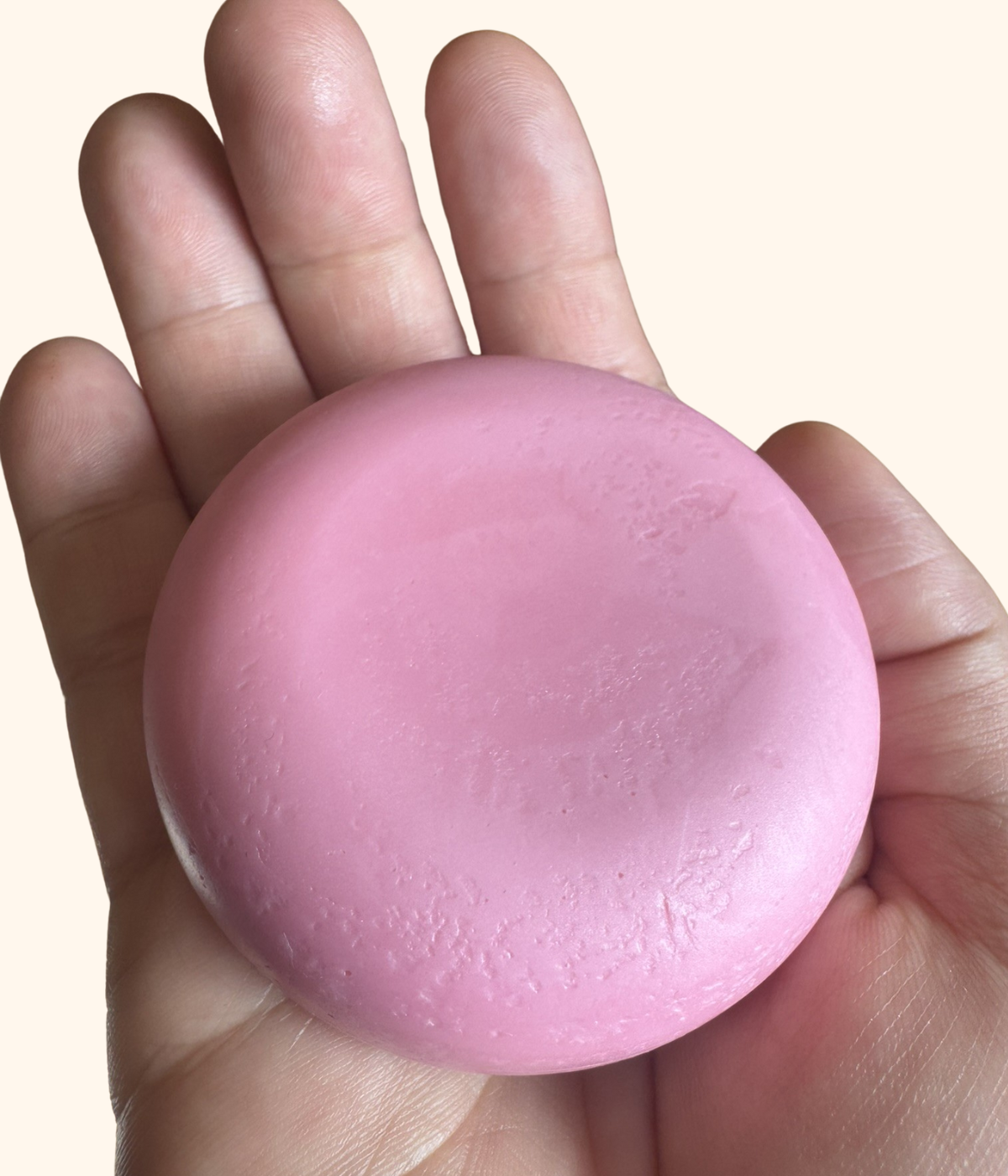 Botiva ✨ Solid Shampoo Bar & Conditioner