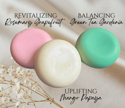 Botiva ✨ Solid Shampoo Bar & Conditioner